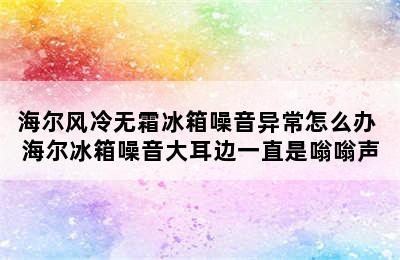 海尔风冷无霜冰箱噪音异常怎么办 海尔冰箱噪音大耳边一直是嗡嗡声